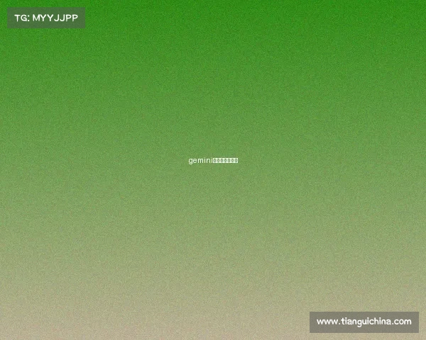 gemini是什么职业选手