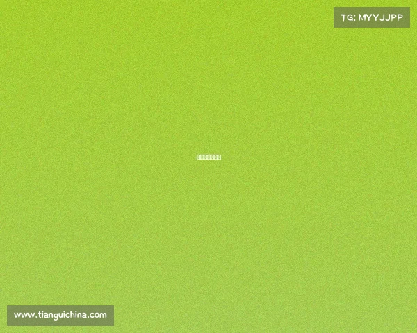 电子哪吒是什么